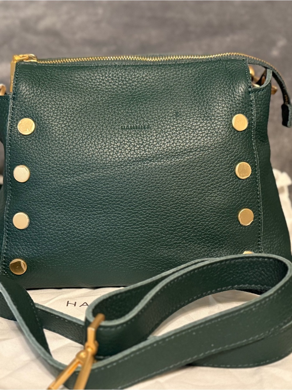 Hammitt Bryant in Grove Green with brushed gold